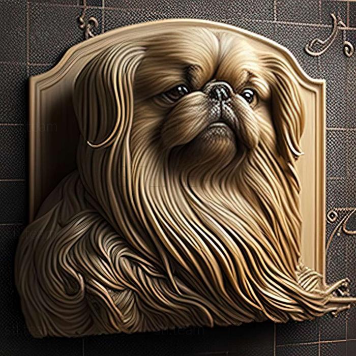 Pekingese dog